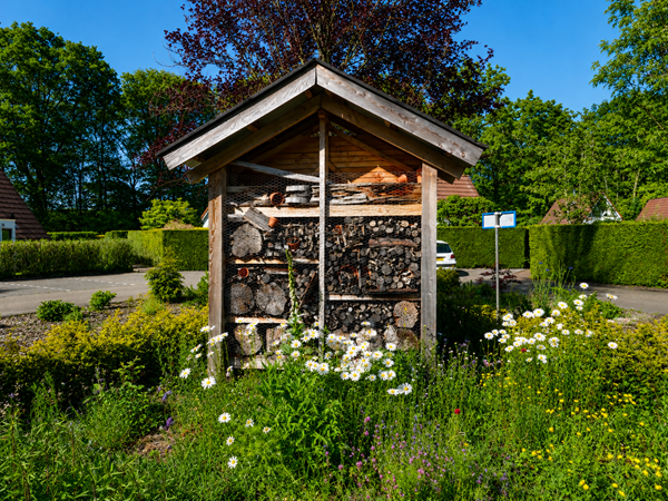 Medium property photo - Het Zwiggelterveld 149, 9433 VD Zwiggelte